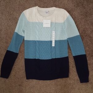 NWT Croft & Barrow Blue striped sweater knit small